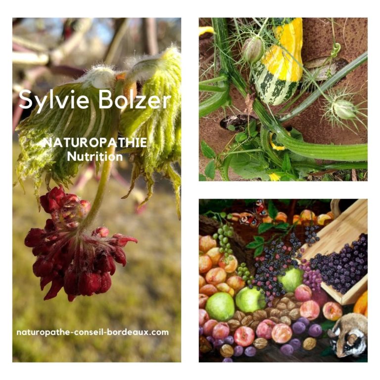 naturopathie bordeaux
