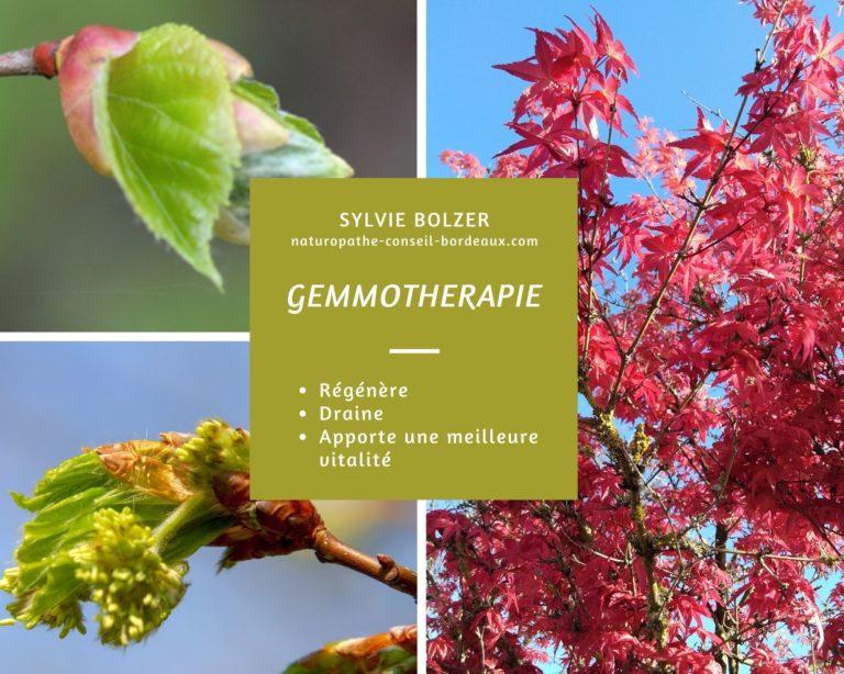 naturopahie