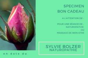 naturopathie sylvie bolzer