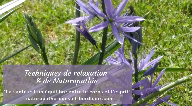 Sylvie Bolzer - naturopathie