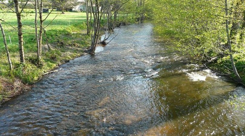 RUISSEAU ST FRONT LA RIVIERE naturopathe saint front la rivière / nontron